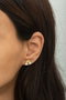 Heliophilia Silver Pendientes de Plata de Ley 925